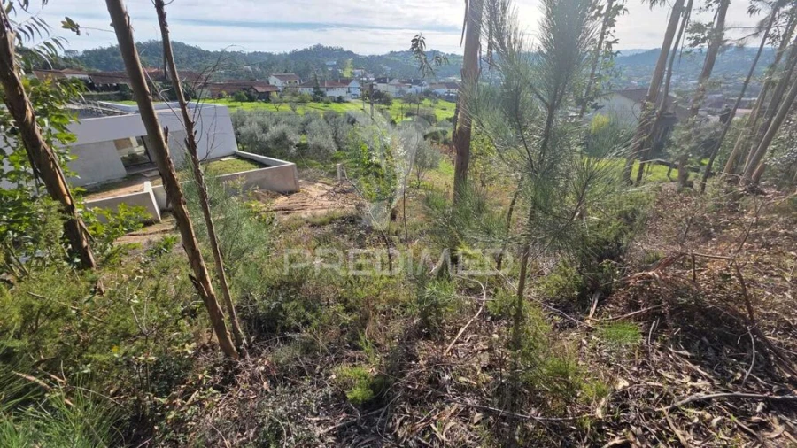 Terreno para Venda em Santa Eufémia e Boa Vista Foto 11