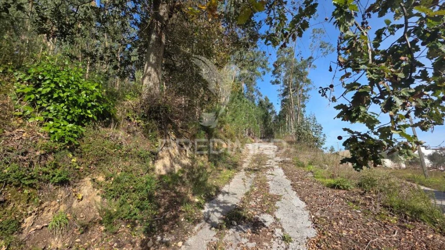 Terreno para Venda em Santa Eufémia e Boa Vista Foto 19