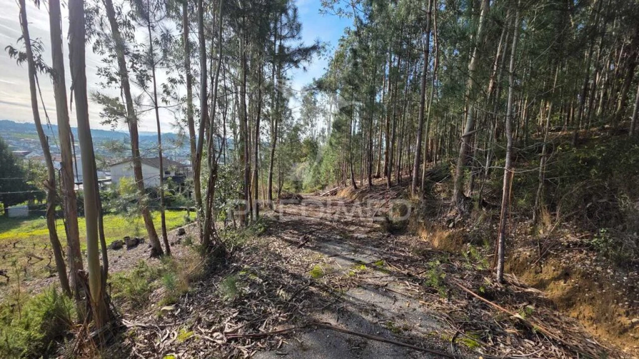 Terreno para Venda em Santa Eufémia e Boa Vista Foto 4