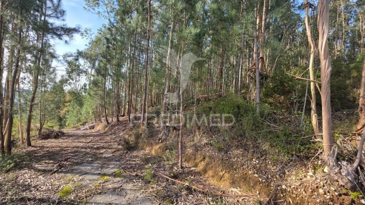 Terreno para Venda em Santa Eufémia e Boa Vista Foto 6