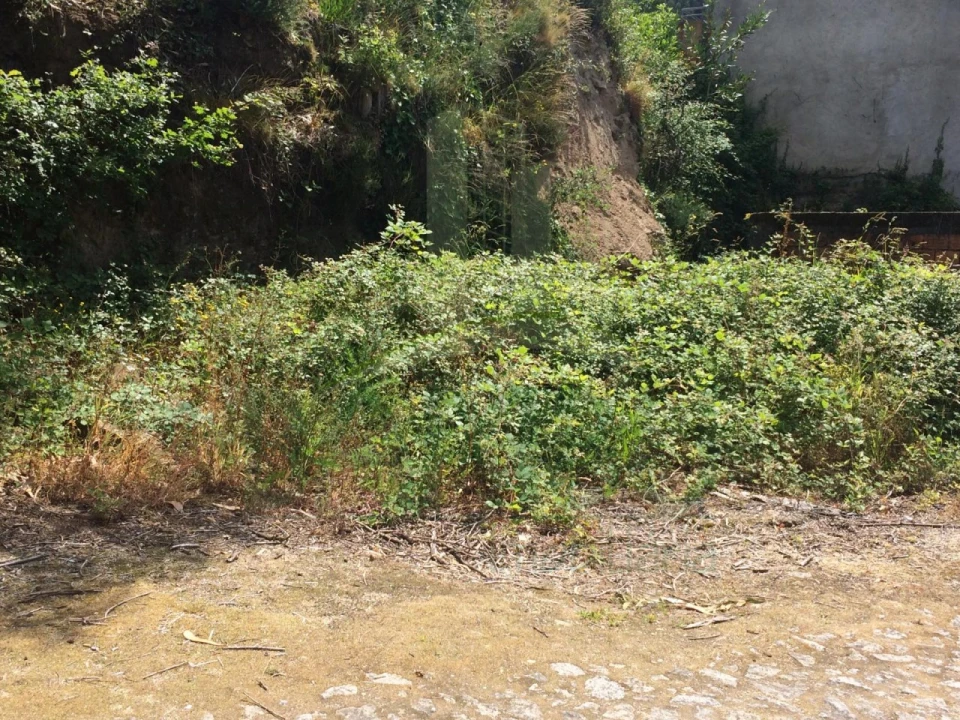 Terreno para Venda em Seixas Foto 2