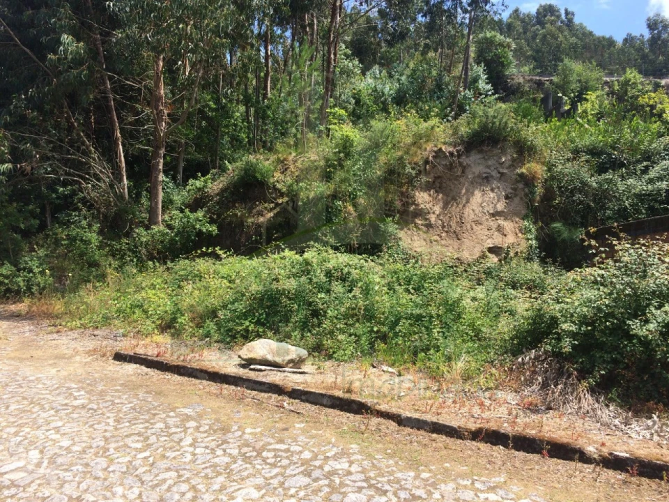 Terreno para Venda em Seixas Foto 3