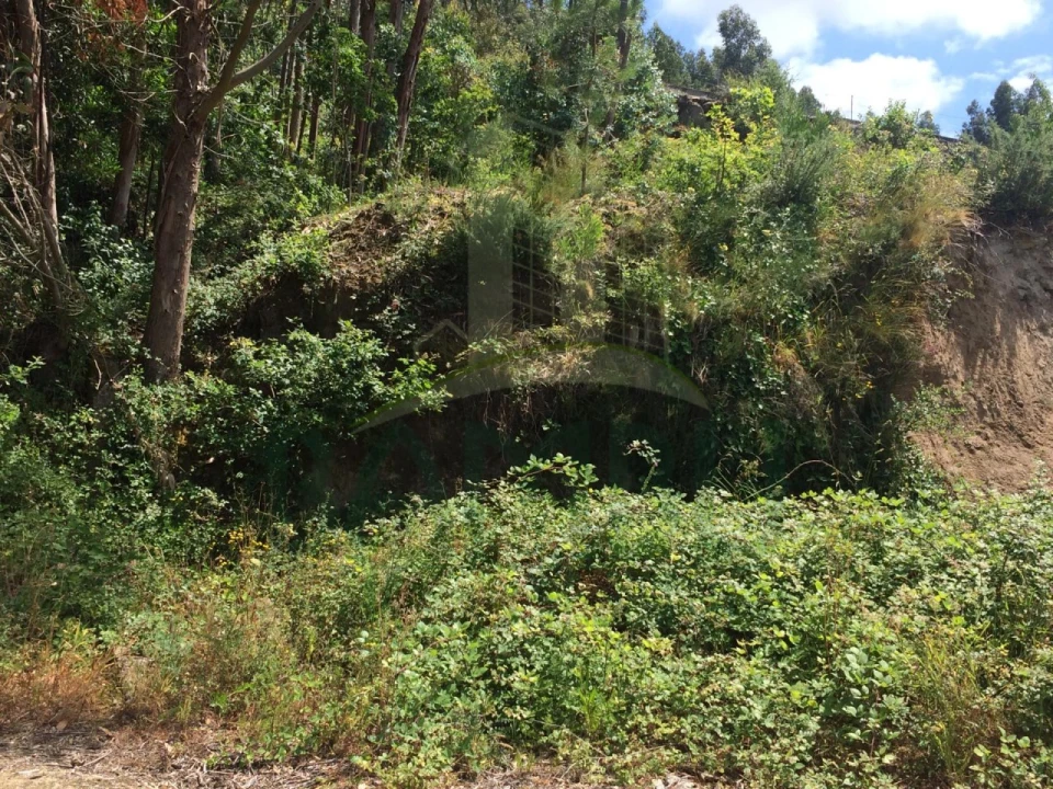 Terreno para Venda em Seixas Foto 4