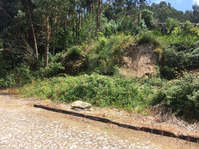 Terreno para Venda em Seixas Foto 3