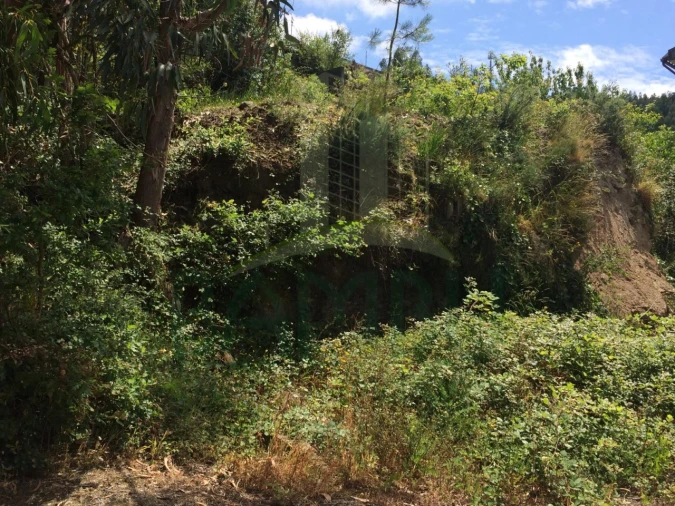 Terreno para Venda em Seixas Foto 5