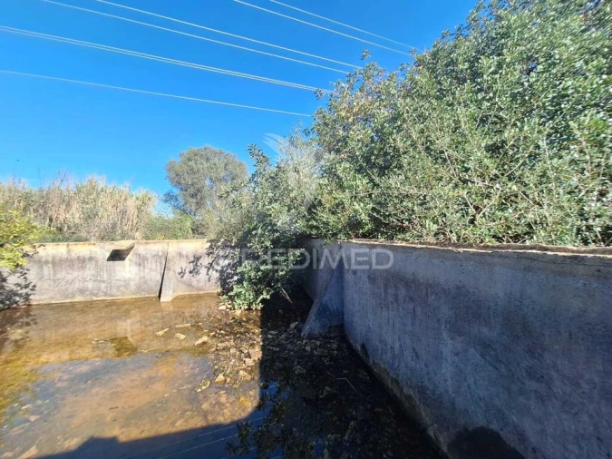 Quinta T4 para Venda em Conceição e Estoi Foto 13
