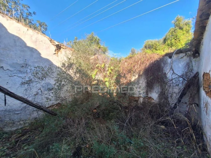 Quinta T4 para Venda em Conceição e Estoi Foto 15