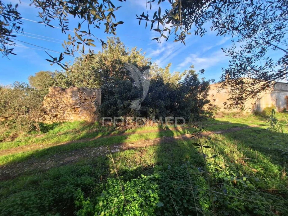 Quinta T4 para Venda em Conceição e Estoi Foto 8