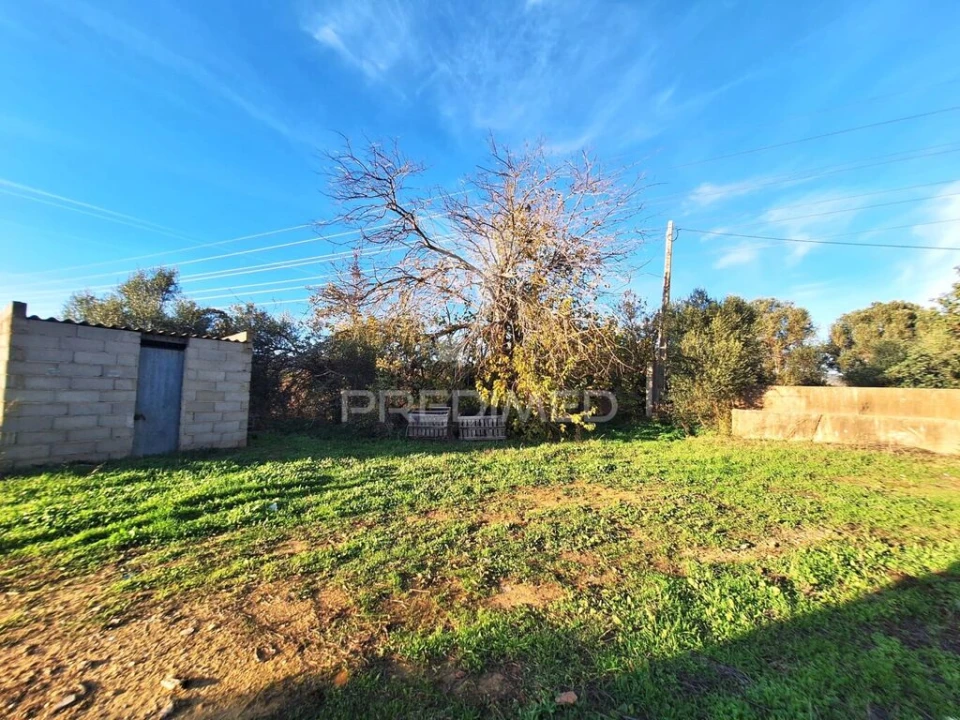 Quinta T4 para Venda em Conceição e Estoi Foto 7