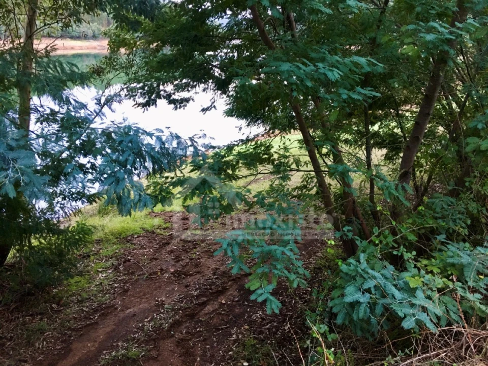 Terreno Agricola ou Rústico para Venda em Arega Foto 9