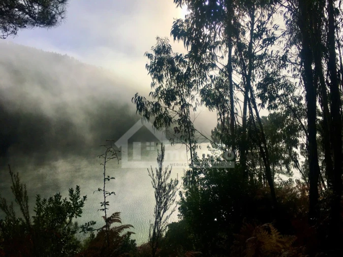Terreno Agricola ou Rústico para Venda em Arega Foto 5