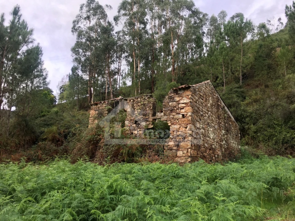 Terreno para Venda em Arega Foto 1