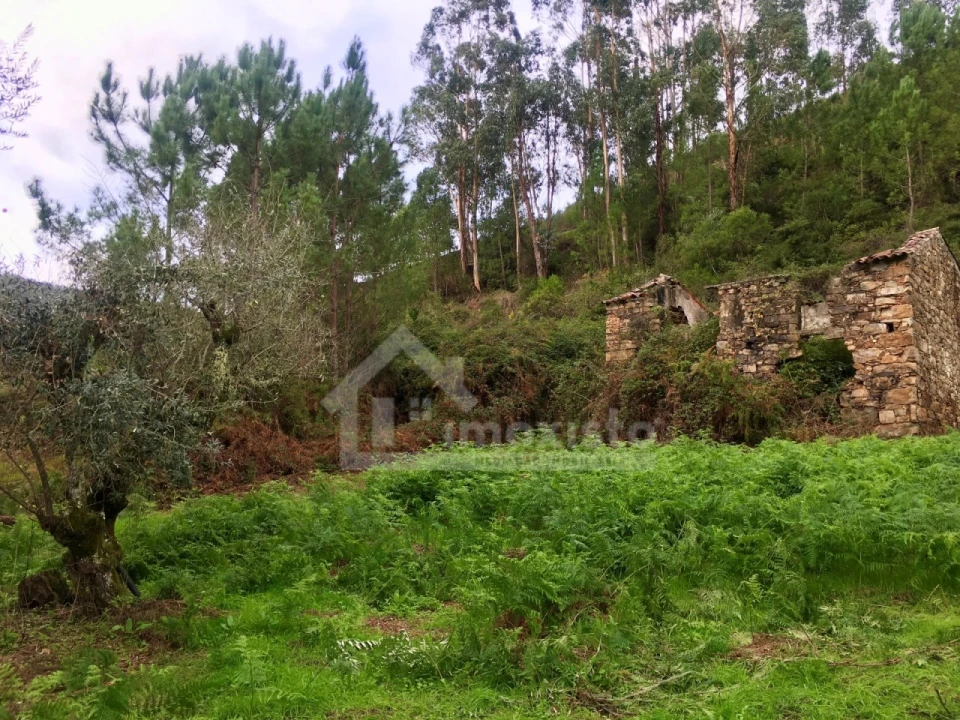 Terreno para Venda em Arega Foto 4