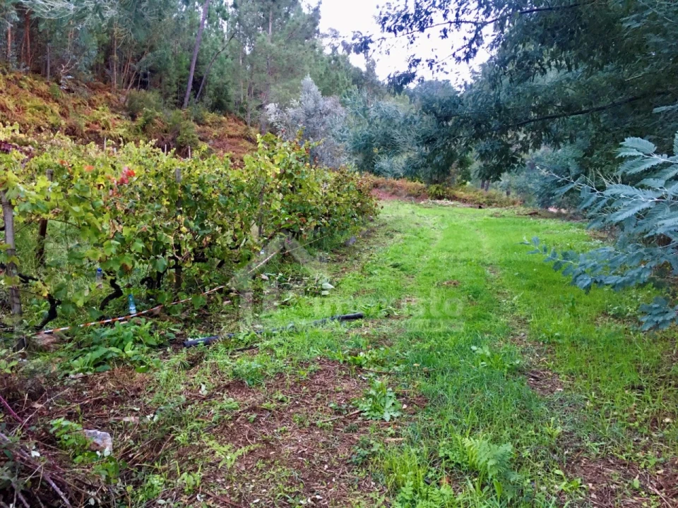 Terreno para Venda em Arega Foto 6