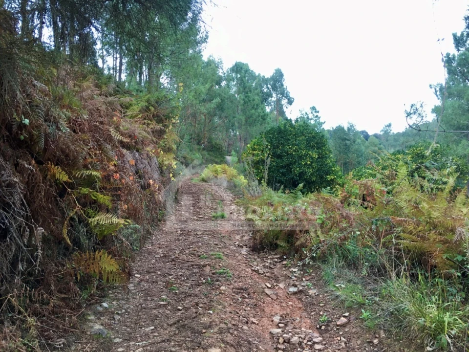 Terreno para Venda em Arega Foto 7