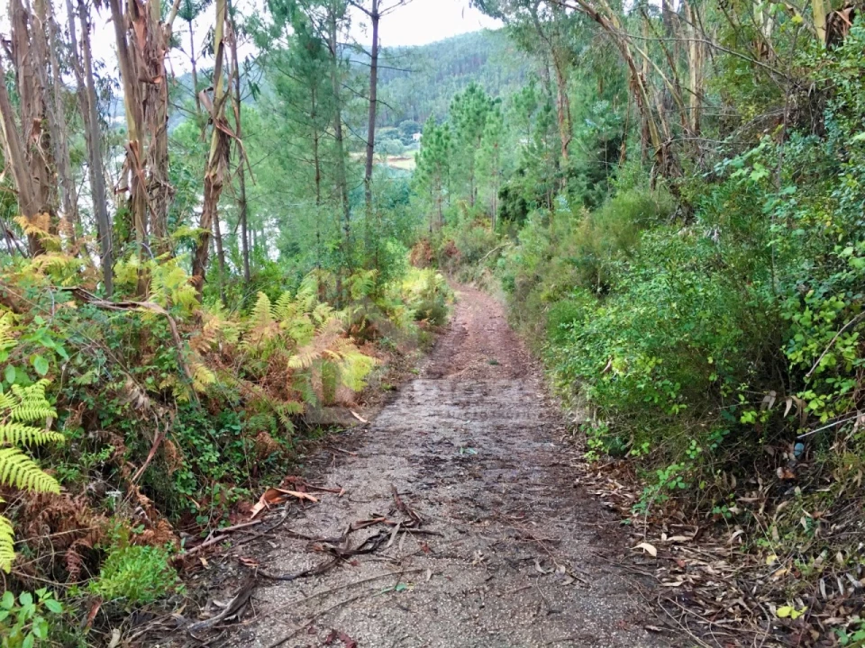 Terreno para Venda em Arega Foto 8