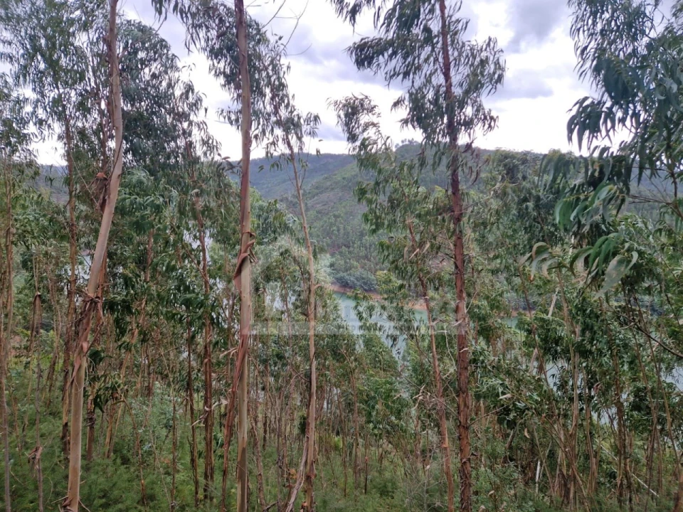 Terreno para Venda em Arega Foto 13