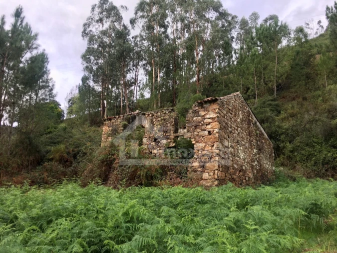 Terreno para Venda em Arega