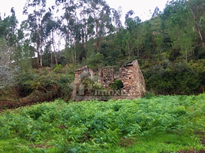 Terreno para Venda em Arega Foto 2