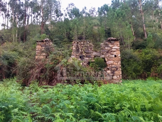 Terreno para Venda em Arega Foto 3