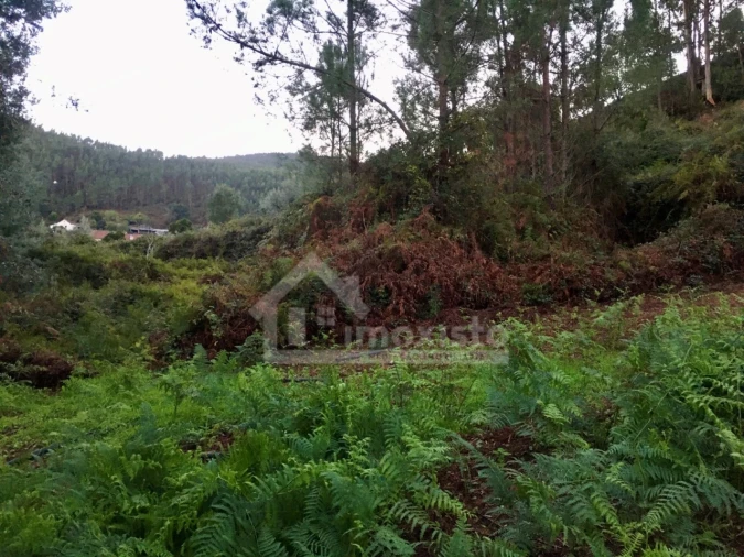 Terreno para Venda em Arega Foto 5