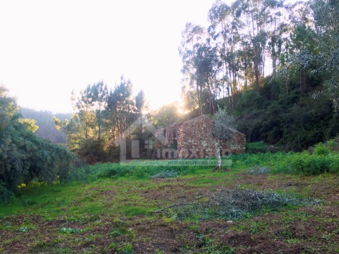 Terreno para Venda em Arega Foto 16