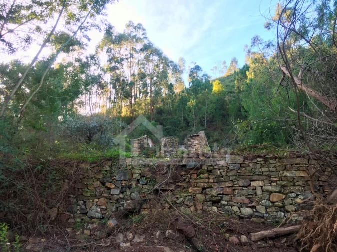 Terreno para Venda em Arega Foto 17