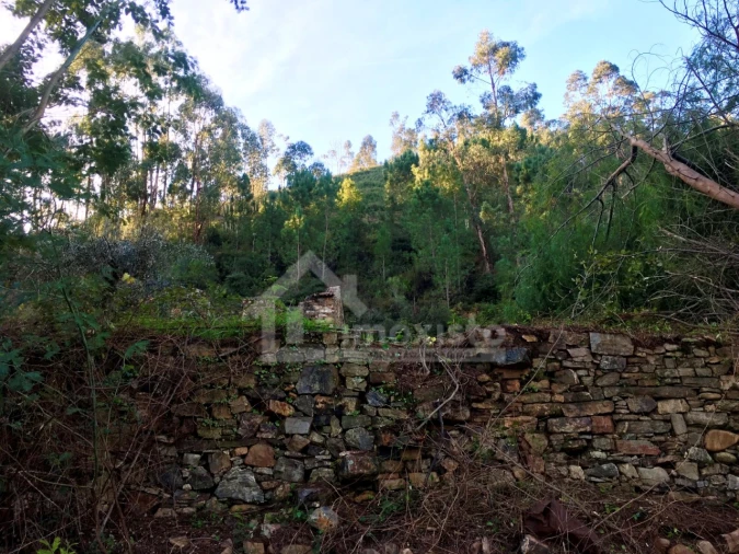 Terreno para Venda em Arega Foto 18