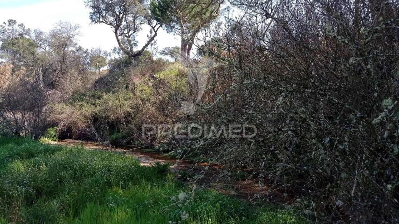 Quinta T2 para Venda em Couço Foto 19