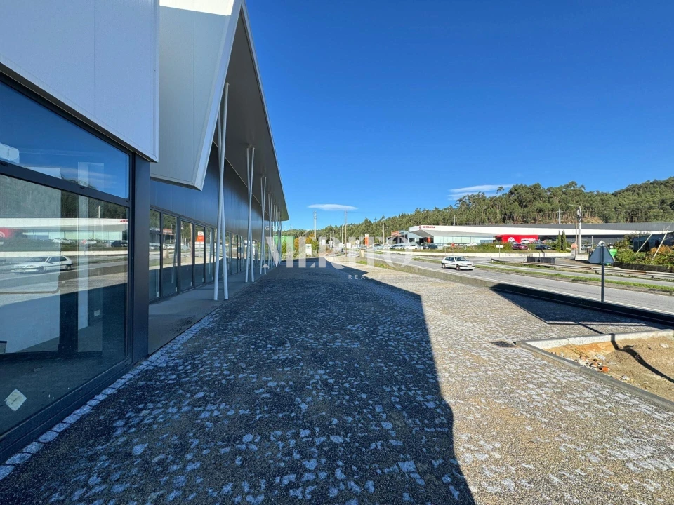 Armazém para Venda em Tamel (Santa Leocádia) e Vilar do Monte Foto 10
