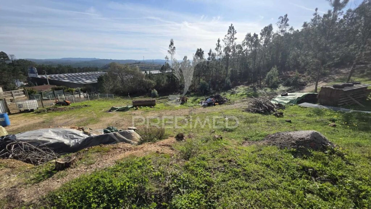 Terreno para Venda em Caranguejeira Foto 1