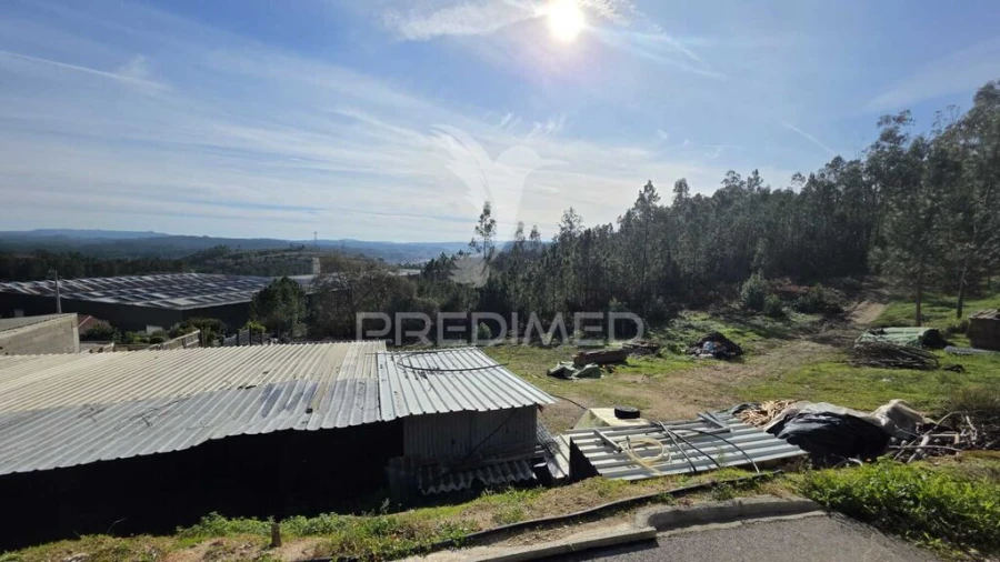 Terreno para Venda em Caranguejeira Foto 10