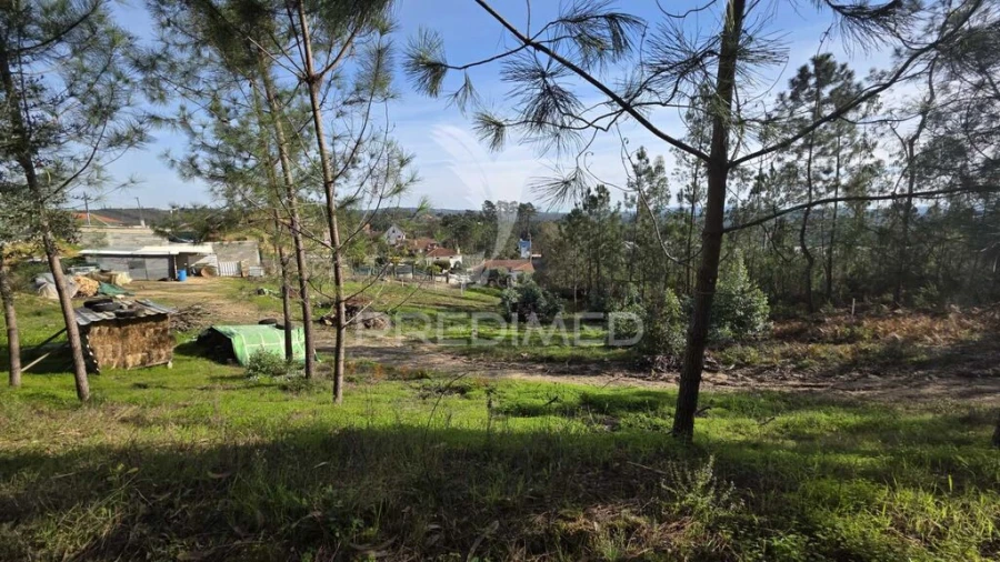Terreno para Venda em Caranguejeira Foto 9