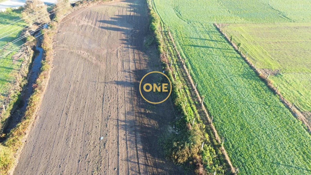 Terreno para Venda em Ribeirão Foto 9
