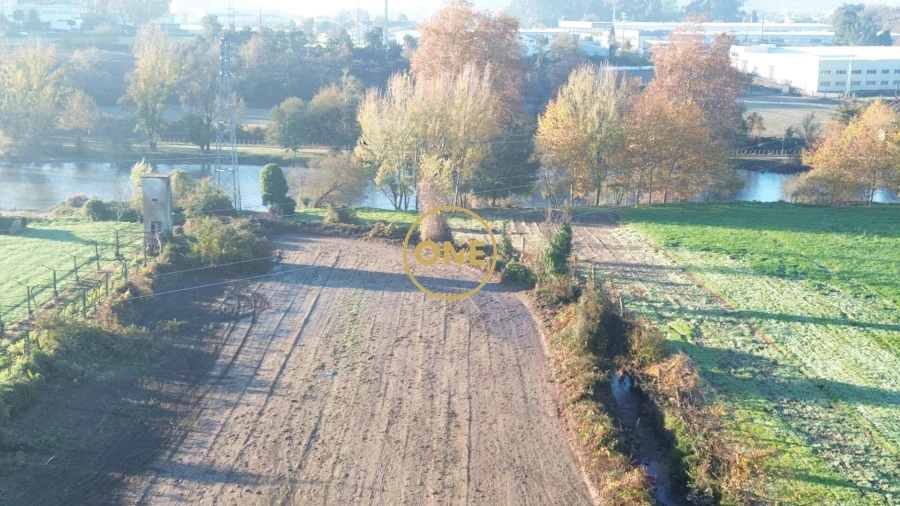 Terreno para Venda em Ribeirão Foto 6