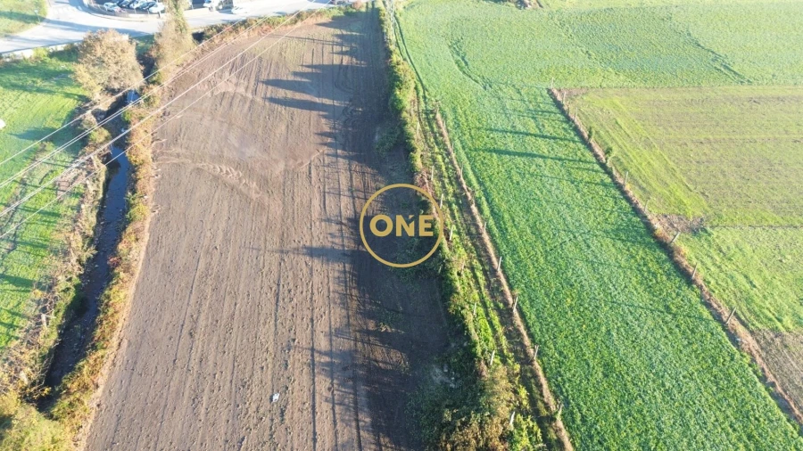 Terreno para Venda em Ribeirão Foto 8