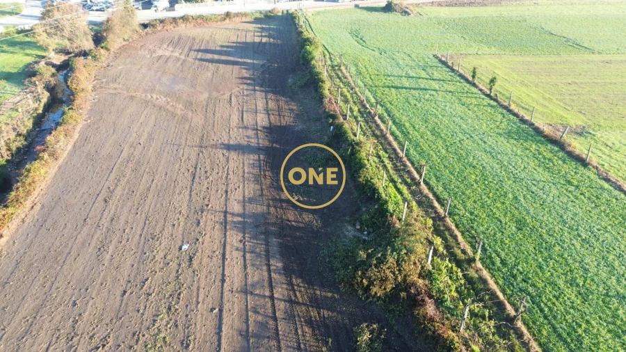 Terreno para Venda em Ribeirão Foto 7