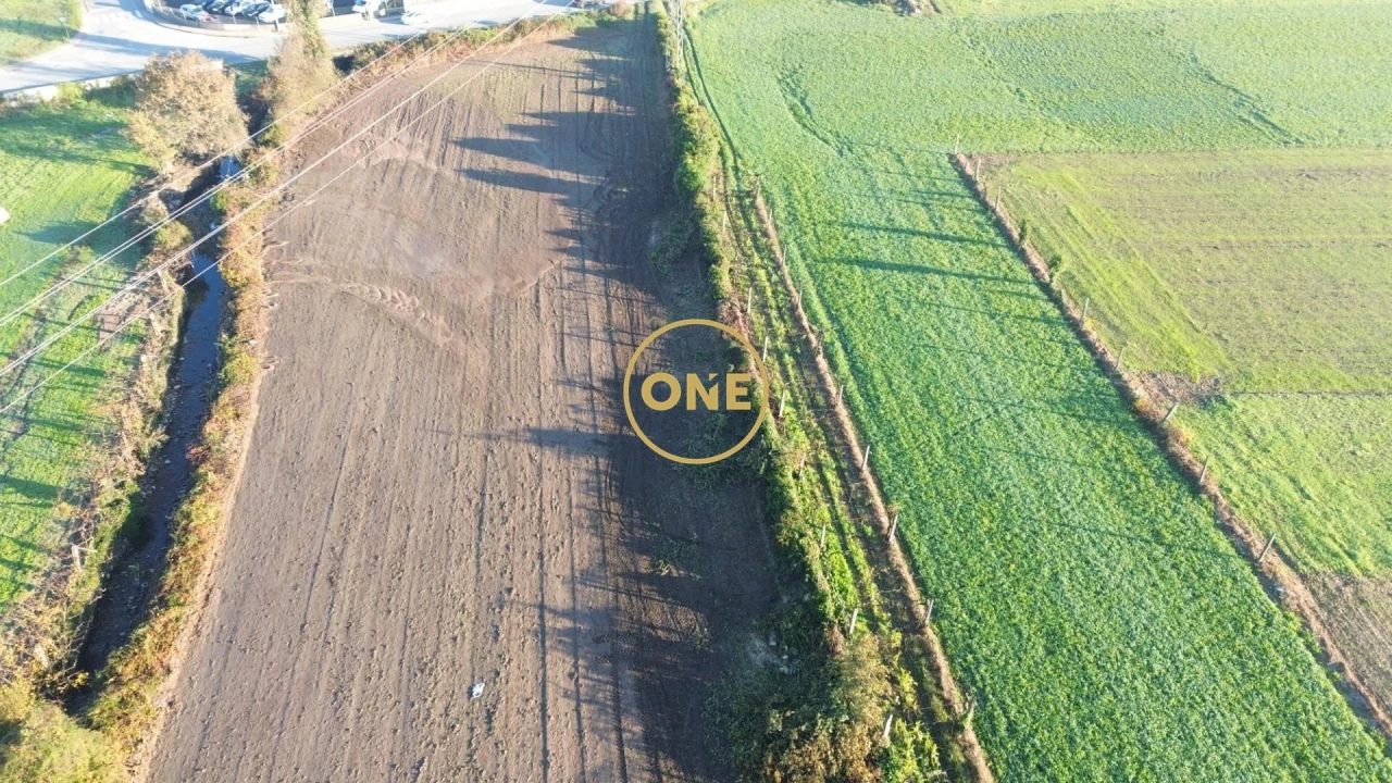 Terreno para Venda em Ribeirão Foto 8