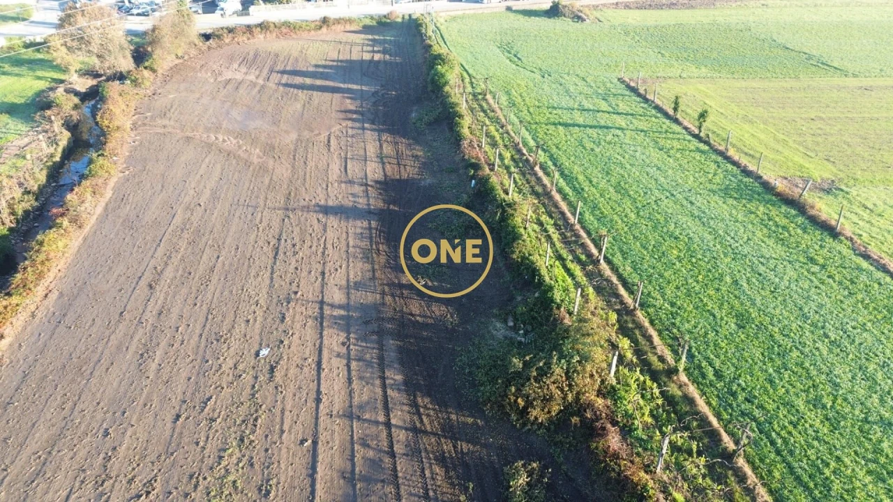 Terreno para Venda em Ribeirão Foto 7