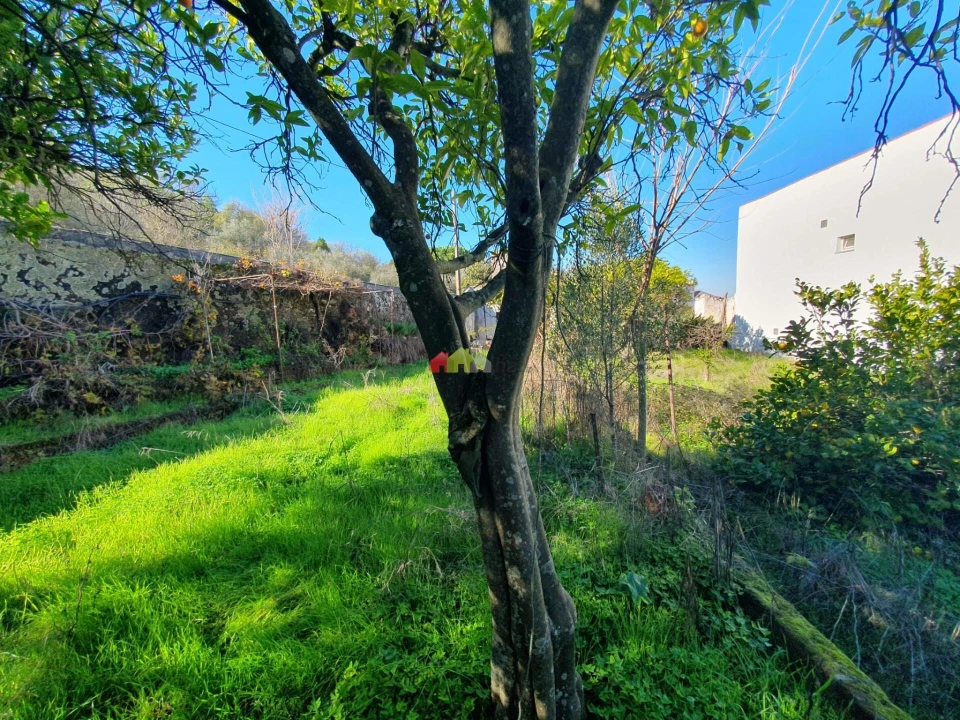 Terreno para Venda em Nossa Senhora da Vila, Nossa Senhora do Bispo e Silveiras Foto 41