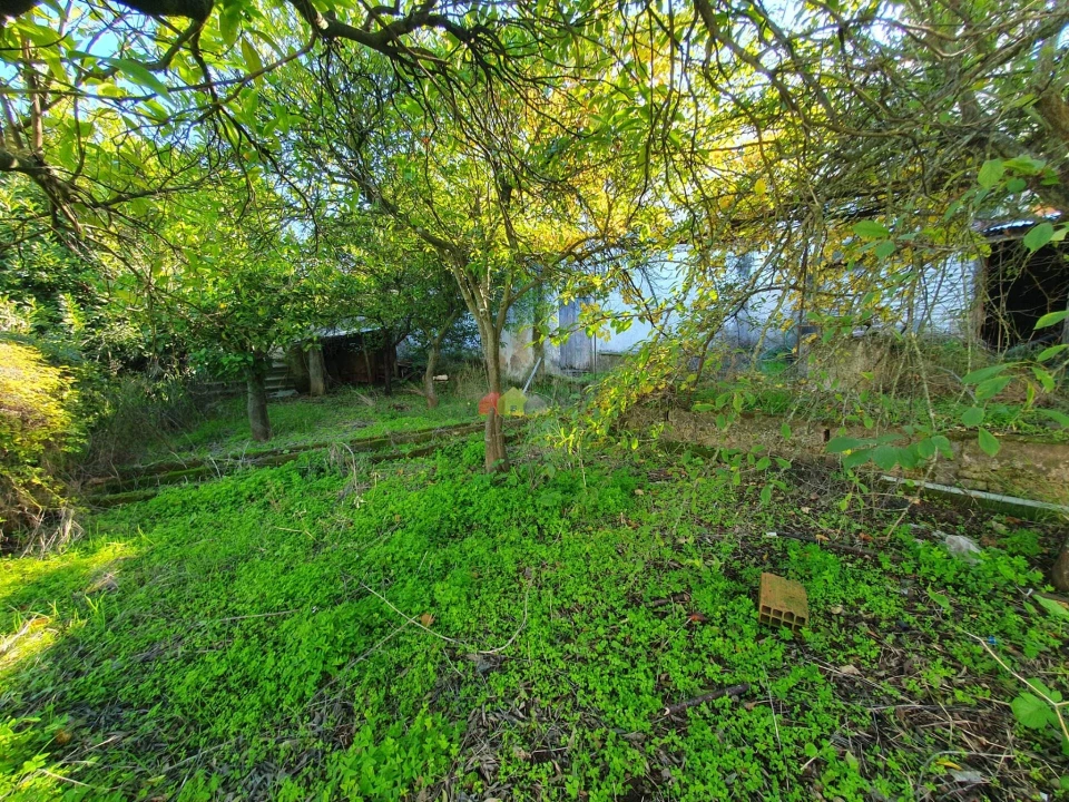 Terreno para Venda em Nossa Senhora da Vila, Nossa Senhora do Bispo e Silveiras Foto 44