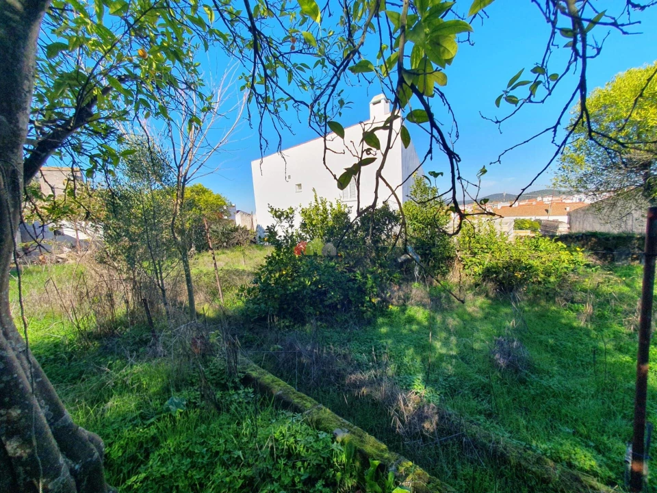 Terreno para Venda em Nossa Senhora da Vila, Nossa Senhora do Bispo e Silveiras Foto 45