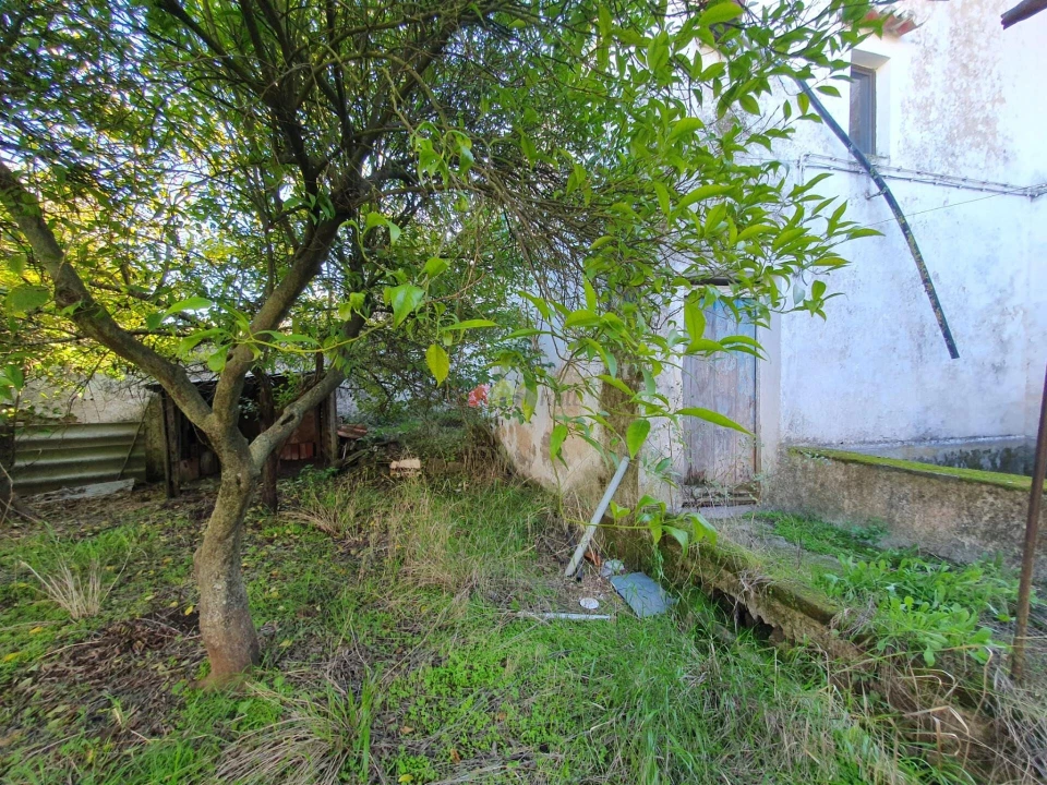 Terreno para Venda em Nossa Senhora da Vila, Nossa Senhora do Bispo e Silveiras Foto 36