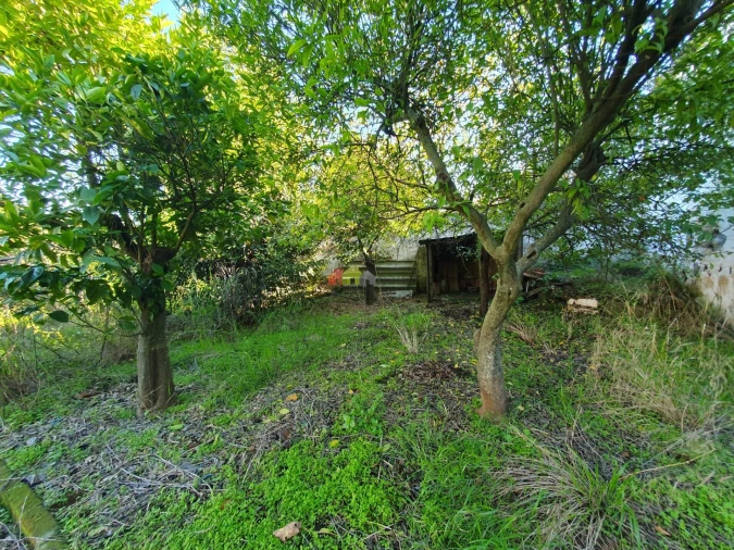 Terreno para Venda em Nossa Senhora da Vila, Nossa Senhora do Bispo e Silveiras Foto 11