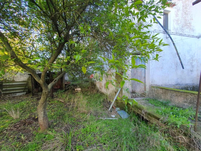 Terreno para Venda em Nossa Senhora da Vila, Nossa Senhora do Bispo e Silveiras Foto 10