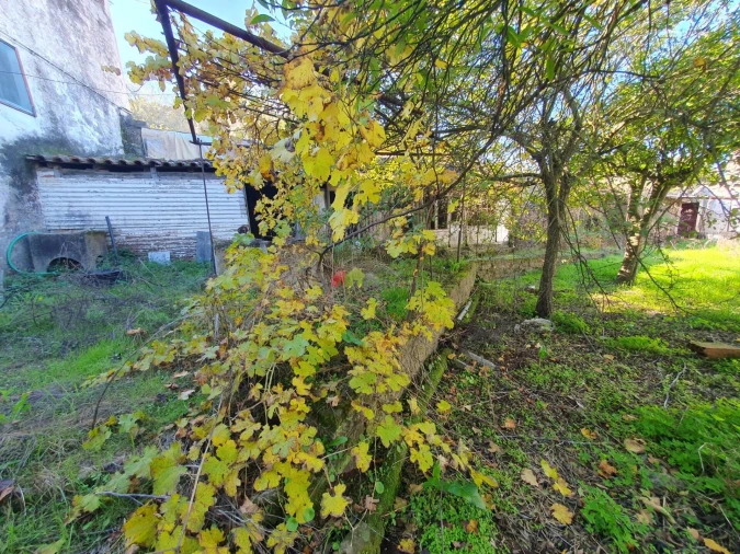 Terreno para Venda em Nossa Senhora da Vila, Nossa Senhora do Bispo e Silveiras Foto 8