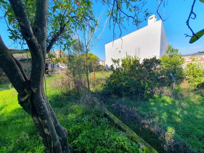 Terreno para Venda em Nossa Senhora da Vila, Nossa Senhora do Bispo e Silveiras Foto 13