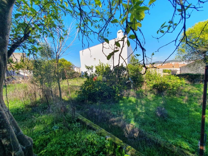 Terreno para Venda em Nossa Senhora da Vila, Nossa Senhora do Bispo e Silveiras Foto 12