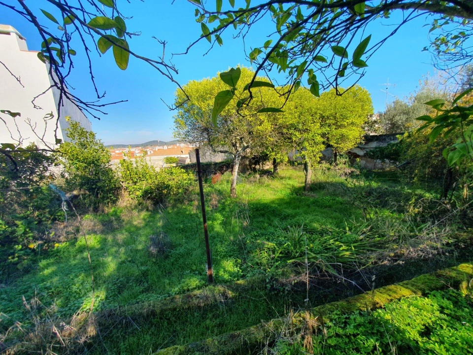 Terreno para Venda em Nossa Senhora da Vila, Nossa Senhora do Bispo e Silveiras Foto 42