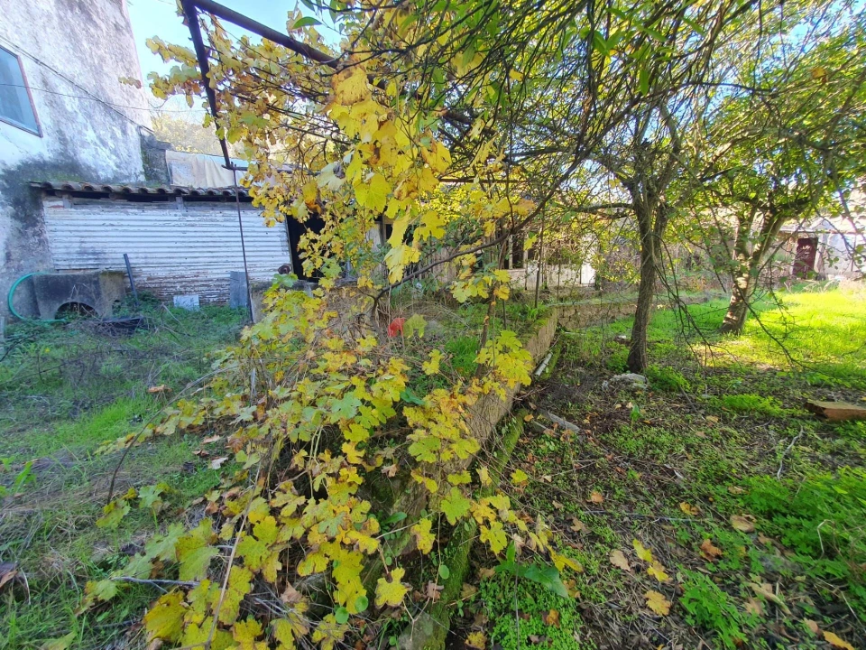 Terreno para Venda em Nossa Senhora da Vila, Nossa Senhora do Bispo e Silveiras Foto 35